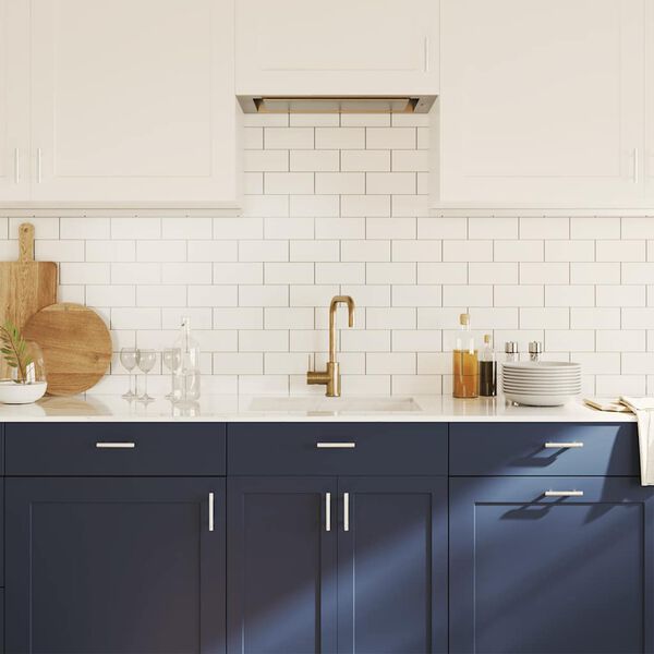 vidaXL Kaapin kahvat 10 kpl hopea 64 mm ruostumaton ter&auml;s