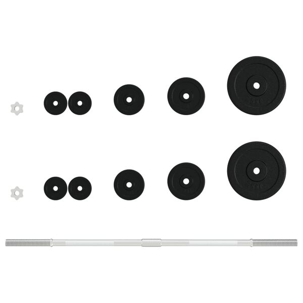 vidaXL Painonnostotanko levypainoilla 30 kg valurauta