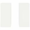 vidaXL Kasviteline 2 pcs Valkoinen 24 x 24 x 55 cm Ter&auml;s