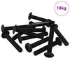 vidaXL Ruuvi 2647 kpl Hopea 5 x 30 mm Rauta