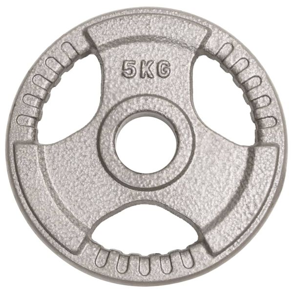 vidaXL Olympia levypainot 4 kpl 20 kg valurauta