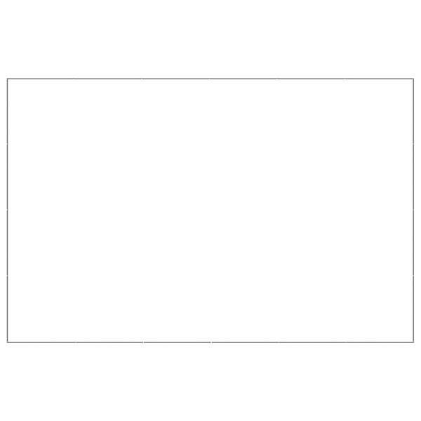 vidaXL Koiranh&auml;kki hopea 24 m&sup2; ter&auml;s