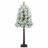 Tuotteen pikkukuva 5 / 13