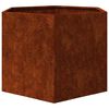 vidaXL Kukkalaatikko ruoste 60x60x45 cm Corten ter&auml;s