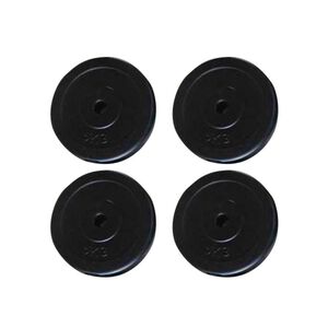 vidaXL Levypainot 4 kpl 20 kg