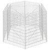vidaXL Korotettu kuusikulmainen gabion-/kivikorikehys 160x140x100 cm