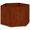 vidaXL Kukkalaatikko ruoste 60x60x45 cm Corten ter&auml;s