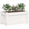 vidaXL Ulkokukkalaatikot 2 kpl valkoinen t&auml;ysi m&auml;nty
