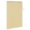 vidaXL Rullaverho verhoilla Luonto 100 x 160 cm Bambu