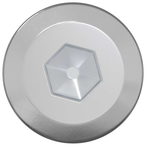 vidaXL Puuruuvit 2 pcs Hopea M6 x 70 mm Ter&auml;s