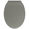 vidaXL WC-istuin pehmeästi sulkeutuva harmaa soikea