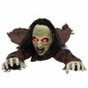 vidaXL Halloween-zombikoriste SPOOKA Ruskea 94 x 130 x 29 cm