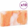 vidaXL Suolakivet 10 pcs Pinkki 20 x 2,5 x 10 cm Suolakivimateriaali