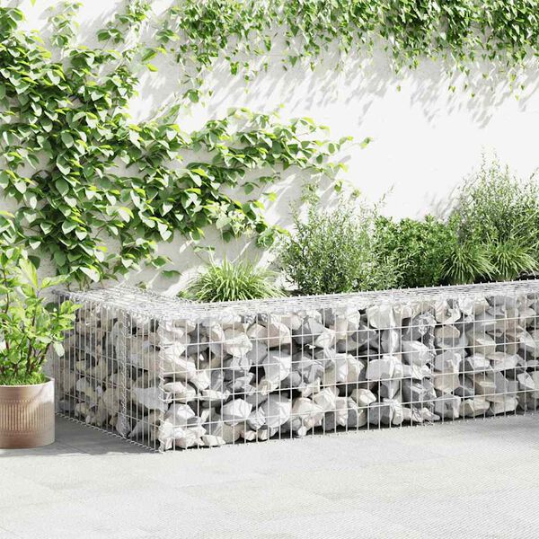 vidaXL Gabion-kivikori kansilla galvanoitu ter&auml;s 300x30x50 cm