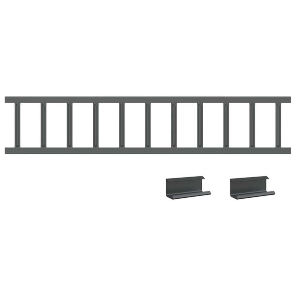 vidaXL Katto lumivahti Antrasiitti 100 x 2,5 x 20 cm Ter&auml;s