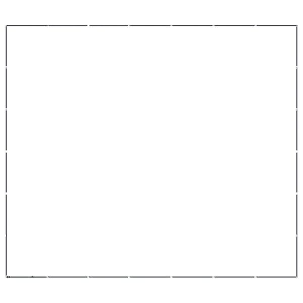 vidaXL Koiran ulkoh&auml;kki ter&auml;s 38,71 m&sup2;