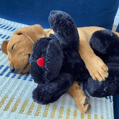 Snuggle Puppy Pehmolelukoira sydämensykkeellä musta