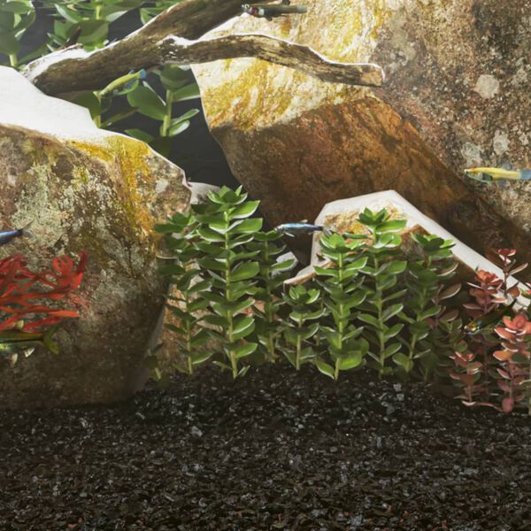 vidaXL Akvaariohiekka 10 kg musta 0,2-2 mm