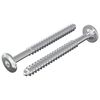 vidaXL Puuruuvit 2 kpl Hopea M6 x 70 mm Ter&auml;s