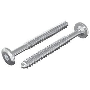 vidaXL Puuruuvit 2 kpl Hopea M6 x 70 mm Ter&auml;s
