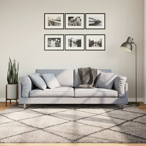vidaXL P&ouml;rr&ouml;matto PAMPLONA korkeanukka moderni beige/antras 200x200 cm