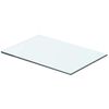 vidaXL Hyllypaneeli Kirkas lasi 40x20 cm
