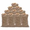 vidaXL Juuttis&auml;kit 10 kpl 65x135 cm 100% Juutti 220 gsm