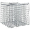 vidaXL Gabion Kohotettu Peti 2 kpl 100 x 100 x 100 cm Galvanoitu ter&auml;s
