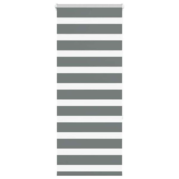 vidaXL Seepra rullaverho 60x150 cm kankaan leveys 55,9 cm polyesteri