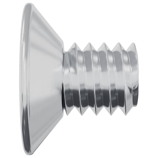 vidaXL Upotetut p&auml;&auml;ruuvit 2 pcs Hopea M4 x 6 mm Ter&auml;s