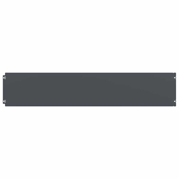 vidaXL Nurmikon reunalistat 10 kpl Antrasiitti Kylm&auml;valssattu ter&auml;s