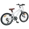 vidaXL Kids Mountain Bike 20 Tuumaa 6-Speed 5-8 vuotta Valkoinen