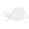 vidaXL Kasvihuone teräsrungolla valkoinen 12 m² 6x2x2 m