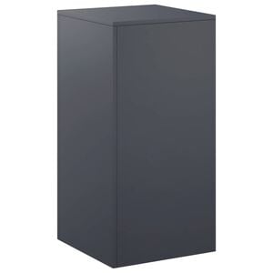 vidaXL Kasviteline Antrasiitti 40 x 40 x 80 cm Ruostumaton ter&auml;s