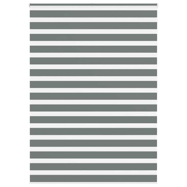 vidaXL Seepra rullaverho 165x200 cm kankaan leveys 160,9 cm polyesteri