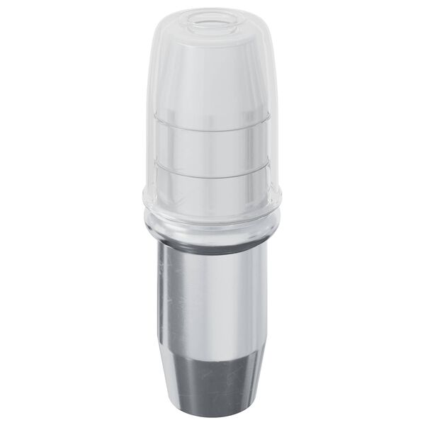 vidaXL Hyllyn Nautinta 12 pcs Hopea 7 x 16 mm Rauta