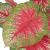 Tuotteen pikkukuva 2 / 2