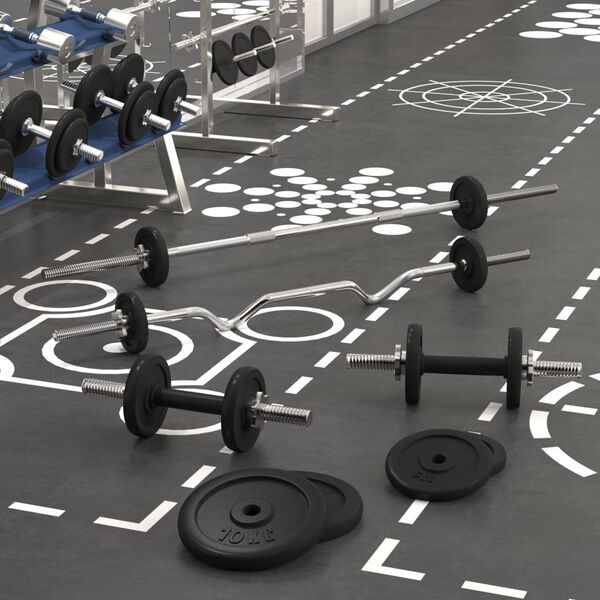 vidaXL Painonnostotanko ja k&auml;sipainosarja levyill&auml; 60 kg valurauta