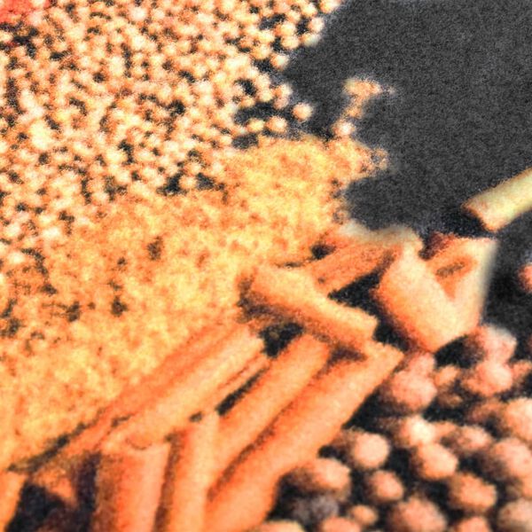 vidaXL Keittiön pestävä lattiamatto Spice 60x300 cm