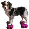 FitPAWS Lemmikin tasapainoalusta Mini K9FITbone 2 kpl 29x16,5x6 cm