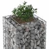 vidaXL Gabion Kohotettu Peti Hopea 50 x 50 x 150 cm Galvanoitu ter&auml;s