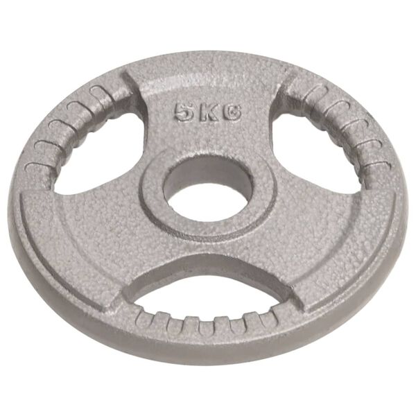 vidaXL Olympia levypainot 2 kpl 10 kg valurauta