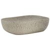 vidaXL Pesuallas tasolle harmaa suorakaide 48x37,5x13,5 cm keraaminen