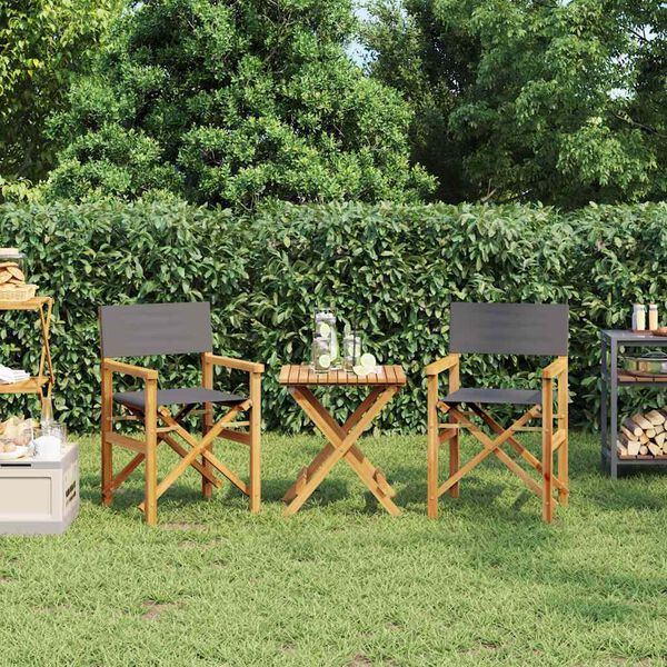 vidaXL Taitettavat ohjaajan tuolit 2 kpl harmaa t&auml;ysi tiikki