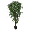 vidaXL Tekokasvi mangopuu 300 lehte&auml; 80 cm vihre&auml;