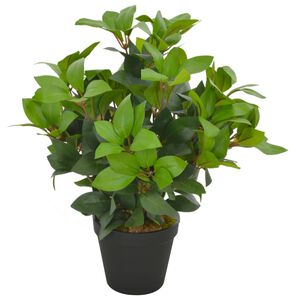 vidaXL Tekokasvi laakeripuu ruukulla vihre&auml; 40 cm