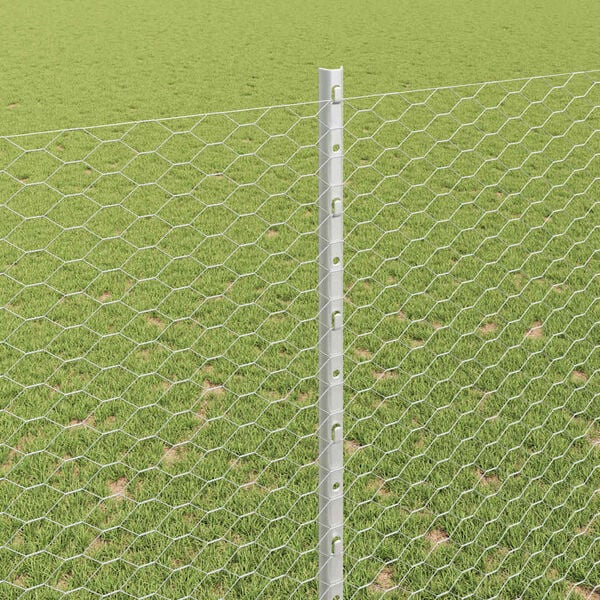 vidaXL Aita ja Tuki Hopea 1,6 x 10 m Ter&auml;s