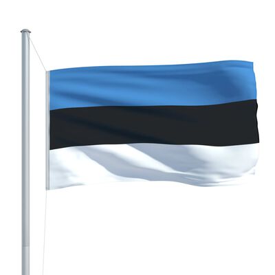 vidaXL Viron lippu ja tanko alumiini 6,2 m