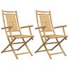 vidaXL Kokoontaitettavat tuolit 2 kpl 53x66x99 cm bambu