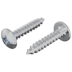 vidaXL Itsekiertev&auml; kynsi 2 kpl Sinkitty 4 x 20 mm Ter&auml;s